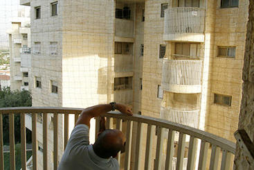 86816_01_pic.jpg