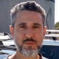 ok הדברת נמלת האש הקטנה ok הדברת נמלת האש הקטנה