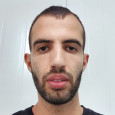 כדורי מערכות אבטחה כדורי מערכות אבטחה