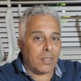 עמי דמתי - ללא פריטים בודדים עמי דמתי - ללא פריטים בודדים
