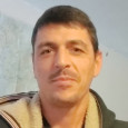 הובלות הקרנפים ללא פריטים בודדים