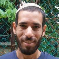 מאור גיזום כריתת עצים הקמת גינות מאור גיזום כריתת עצים הקמת גינות