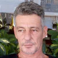 אלונים ועצים אלונים ועצים