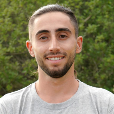 העץ והשורש