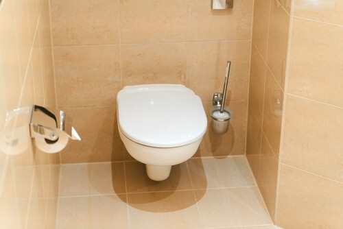 ניאגרה סמויה