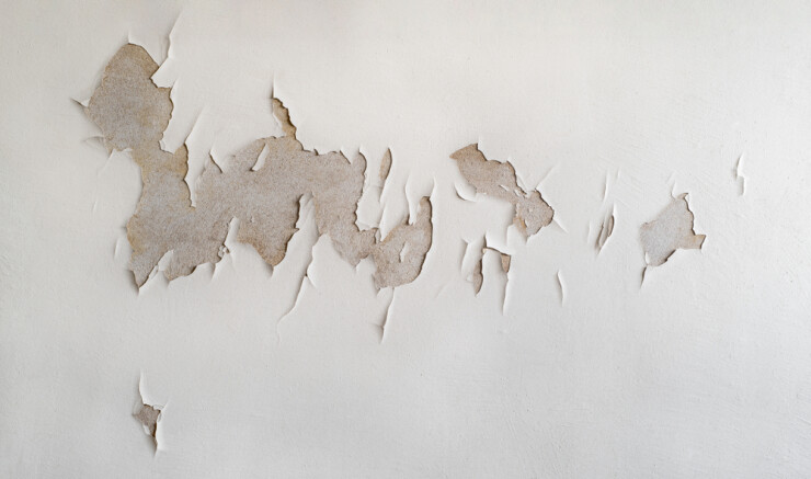 צבע הקיר מתקלף? כך תזהו את הסיבה – ותמנעו ממנה