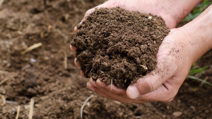 תחזוקת גינה