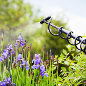 הדברה ירוקה: הדבר הירוק הבא
