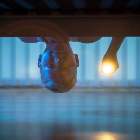 ראיתם נחש בבית? כך תפעלו!