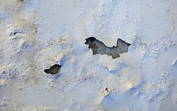 מה המשמעות של חורים, סדקים וקילופי צבע שמופיעים אחרי הגשם הראשון?