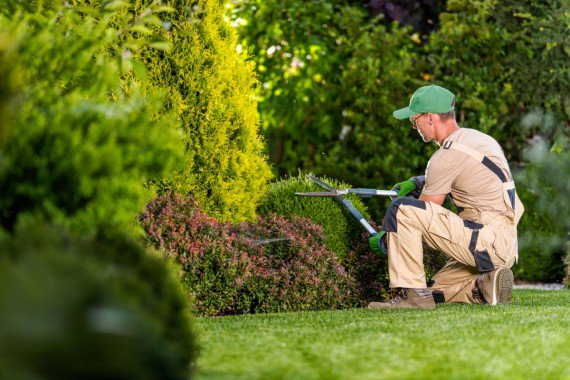 ניכוש עשבים בגינה: למה זה חשוב ואיך עושים את זה?