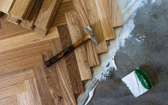 עובש מתחת לפרקט: הנזק הסמוי שמתפשט בלי אזהרה