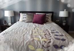 איך נפטרים מפשפש המיטה?