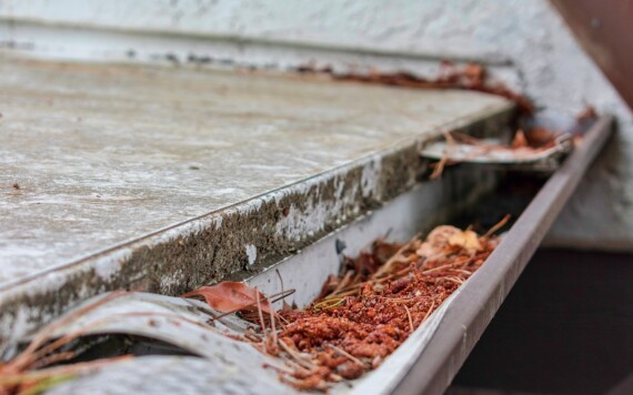 הטעויות בתחזוקת מרזבים שמזמינות את ההצפה הבאה