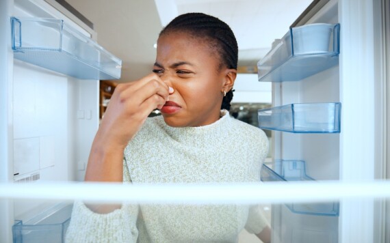 המקרר שבק חיים? כך תצילו את המזון שלכם ותרוויחו זמן יקר