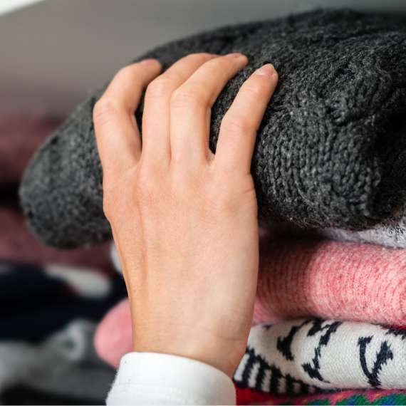 המדריך להדברת עש הבגד