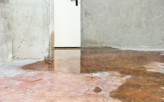 למה מים חוזרים מהביוב בזמן גשם