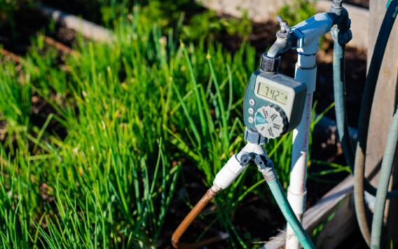 הטכנולוגיה בשירות האינסטלציה: שעון מים דיגיטלי