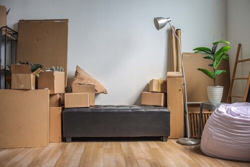 אורזים כמו מקצוענים: המדריך המלא למעבר דירה מאורגן ושקט