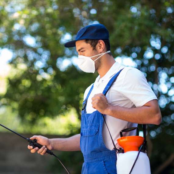 הדברה עירונית: מה שהעירייה לא מספרת לכם