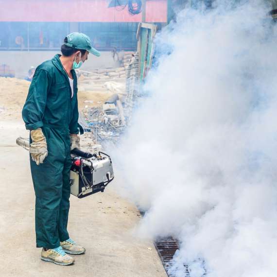 עוברים להדברה ביולוגית עד 2014