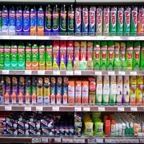 חומרי הדברה: 10 דרכים להיזהר מהם