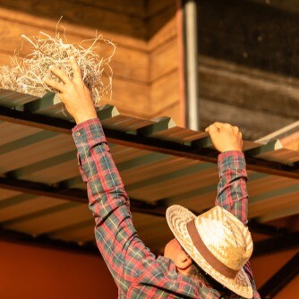 פינוי קן יונים: המדריך המלא להרחקת קן יונים מהבית