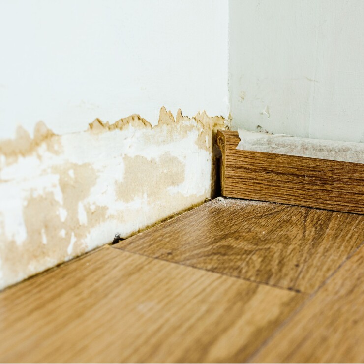 רטיבות בקיר פנימי של הבית: כל המידע החשוב