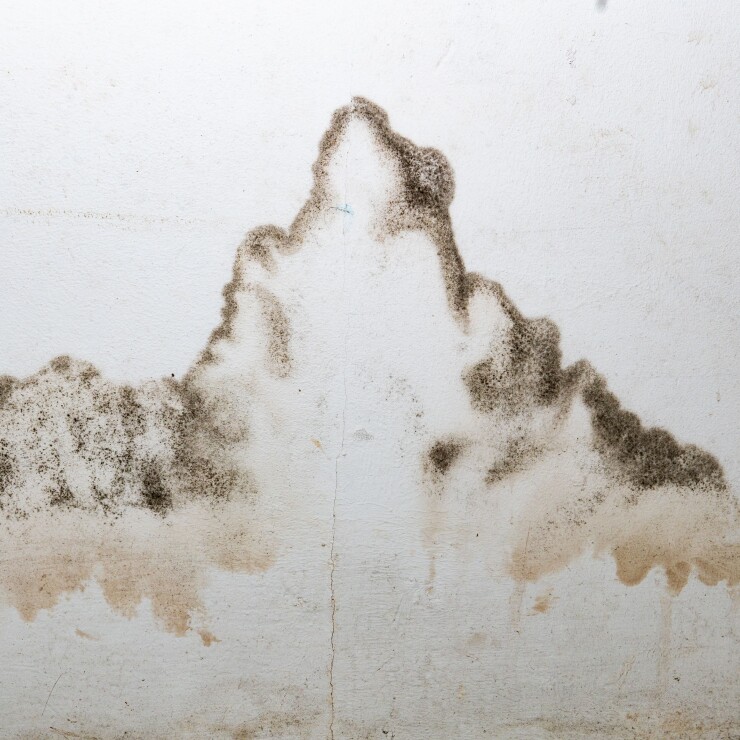 רטיבות נסתרת בדירה: כך מזהים לפני שהעובש משתלט