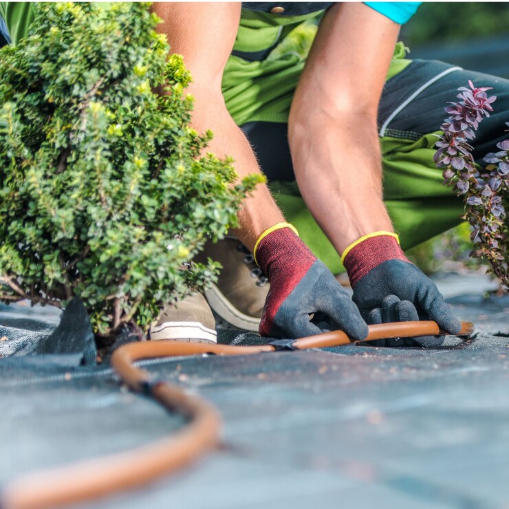 לא דאגתם מראש למערכת השקיה? טעות שתעלה בתחזוקת הגינה
