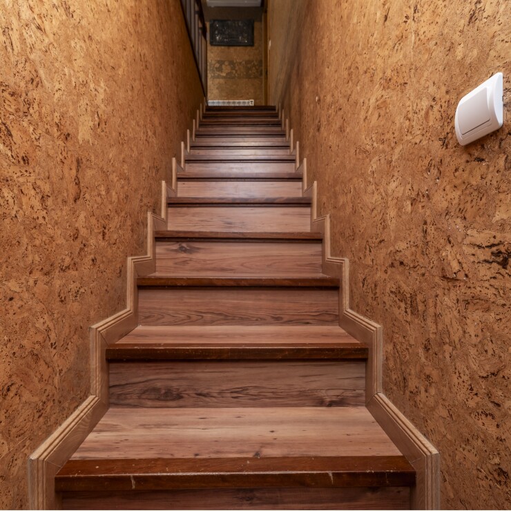 עובש מאחורי חיפויי קיר: הבעיה שמגלים שכבר מאוחר מדי