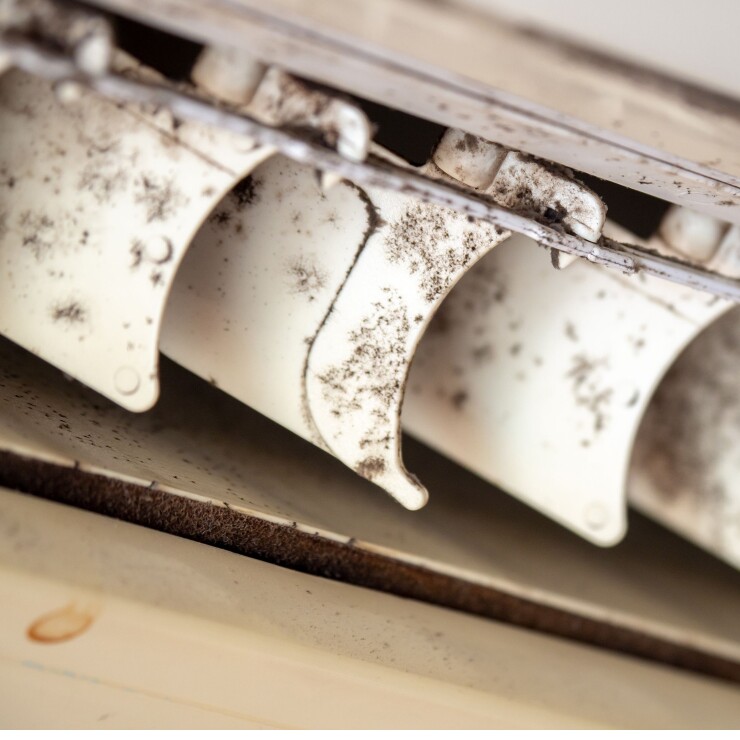 סימני עובש במזגן? כך תמנעו את התופעה