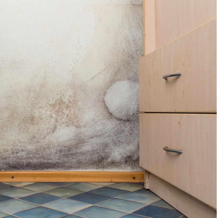 הצמדתם ריהוט לקיר הלא נכון? כך נוצר עובש בבית