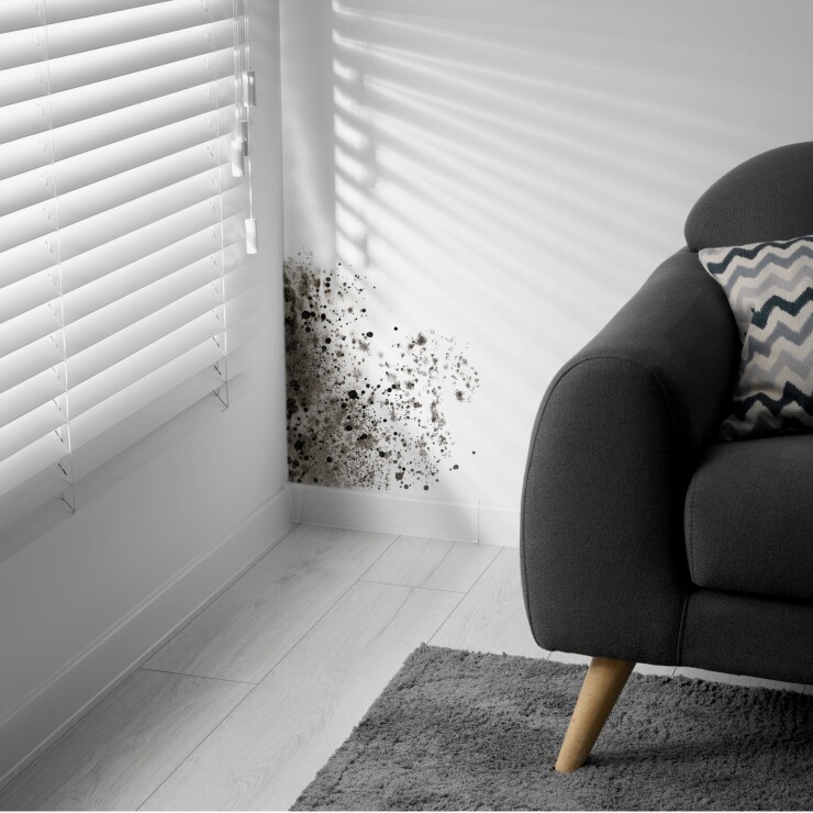 רטיבות בבית: מה עושים?