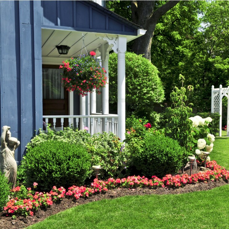 הכי פרטי שיש: טיפים להקמה ועיצוב גינה בבית פרטי 