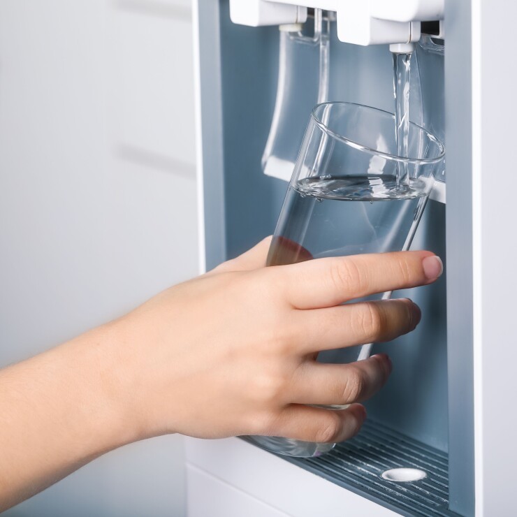 נמלים בתמי 4: כך תתמודדו עם התופעה המטרידה