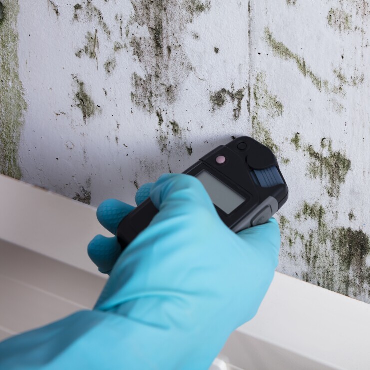 רטיבות בקיר: כך מאתרים ומתקנים נזילה סמויה