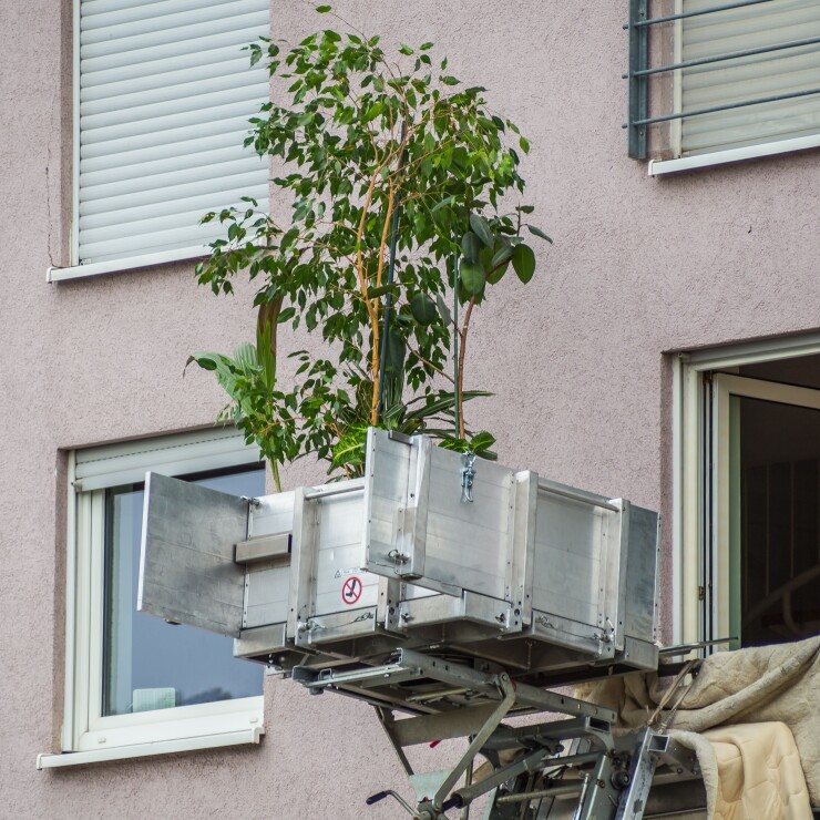 הובלה עם מנוף: כל הטיפים שאתם באמת צריכים לדעת