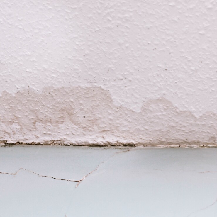 סימני האזהרה שחשוב להכיר לפני הטיפול ברטיבות