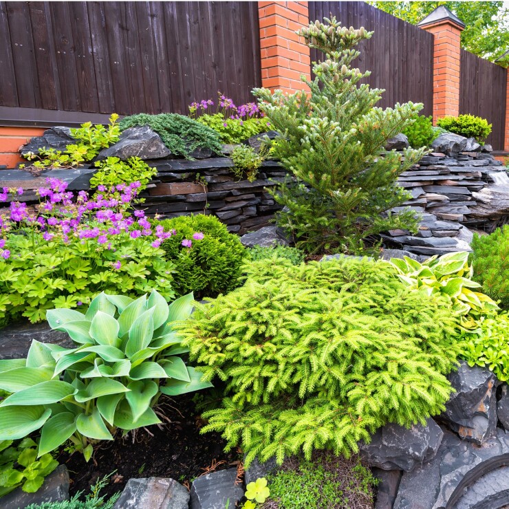 עיצוב הגינה: כל הדרכים לגינה משודרגת