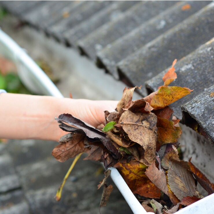 הטעויות בתחזוקת מרזבים שמזמינות את ההצפה הבאה