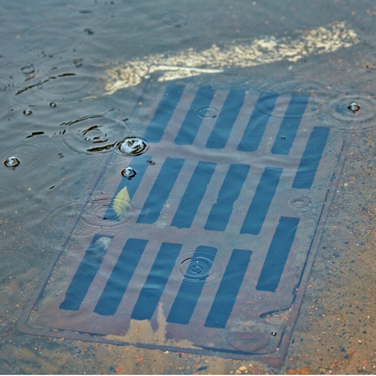 ביוב שעולה דרך השירותים: סימן שהצנרת המשותפת בבעיה