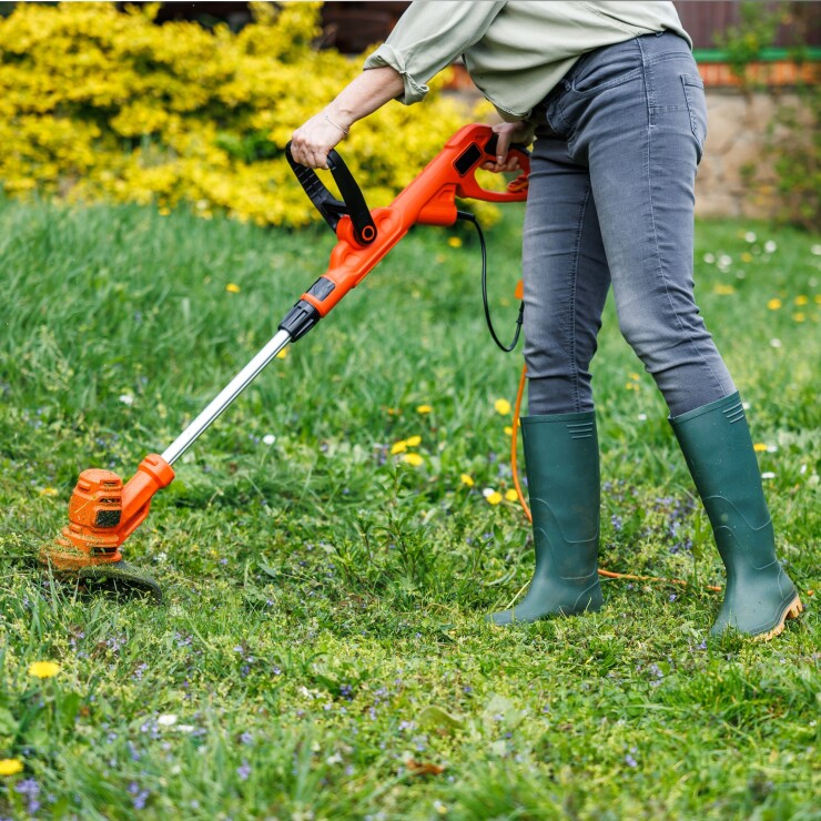 גינה פורחת או מלכודת תחזוקה? אלו הטעויות בתכנון גינה שבהחלט כדאי להימנע מהן