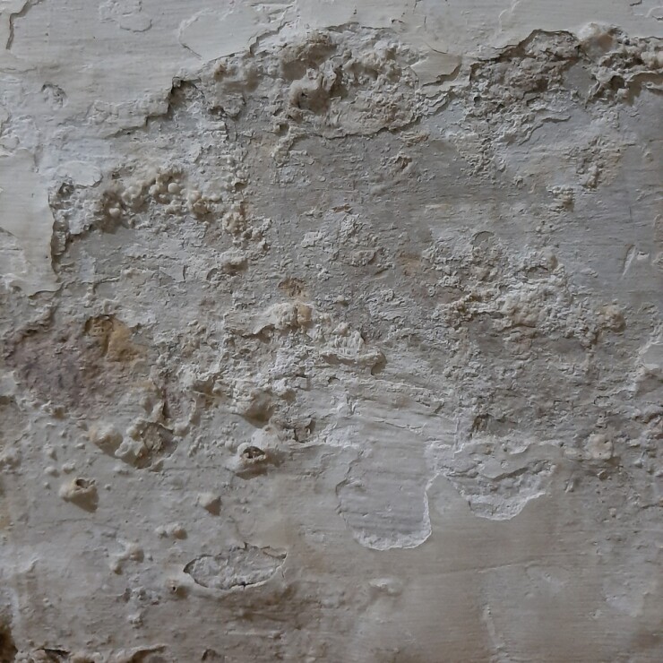 כשהקיר בוכה: המדריך המלא לזיהוי וטיפול ברטיבות בקירות הבית