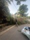 עבודת גנן שבוצעה על ידי גנן בגן - הקמת גינות ושיקומים